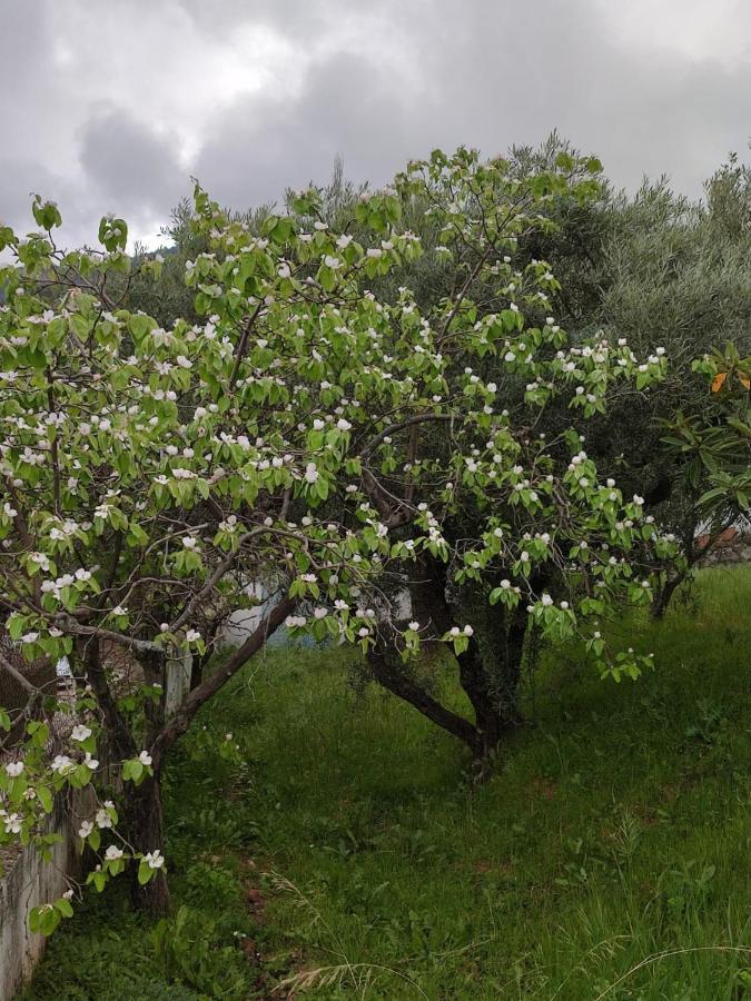 Casa Jabero Villa Nivar Bagian luar foto