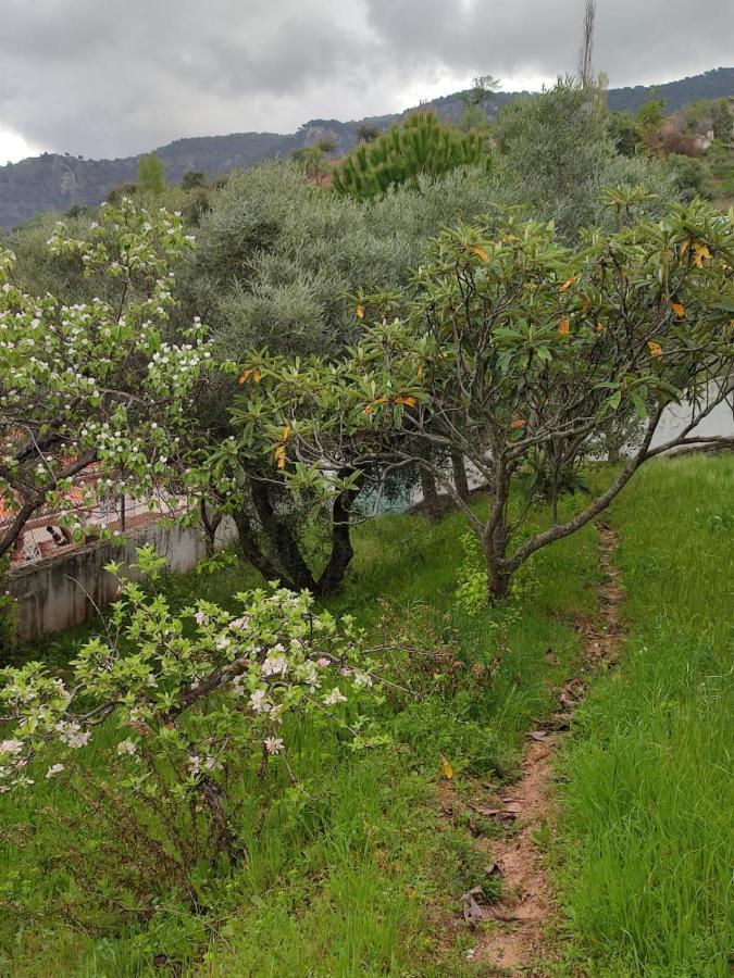 Casa Jabero Villa Nivar Bagian luar foto